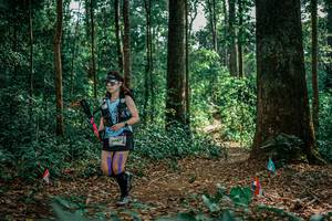 BIB: 
                            <button type="button" onclick="openModal(26129082)" class="btn btn-primary btn-sm float-right btn-popup" data-toggle="modal" data-target=".modal-high-quality">
                        <i class="fas fa-shopping-cart"></i> Add to Cart
                    </button>
                                            <button type="button" onclick="isThisMe(26129082, true)" class="btn btn-success btn-sm float-right btn-popup btn-isme hidden" data-toggle="tooltip" data-placement="bottom" title="นี่คือรูปของคุณใช่ไหม คลิกที่นี่เพื่อเอาเข้าอัลบั้ม">
                        <i class="fas fa-plus"></i> Add to album
                    </button>
                    <button type="button" onclick="isThisMe(26129082, false)" class="btn btn-warning btn-sm float-right btn-popup btn-isnotme hidden">
                        <i class="fas fa-ban"></i> Remove from album
                    </button>